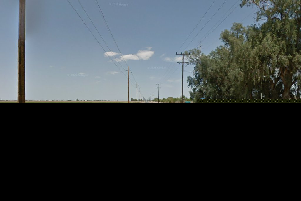 Lulu Belle Animal Haven