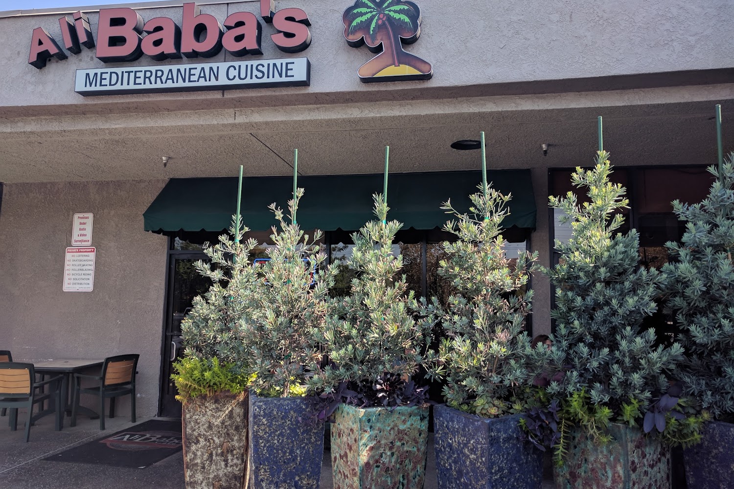 Animal Rescue Volunteers