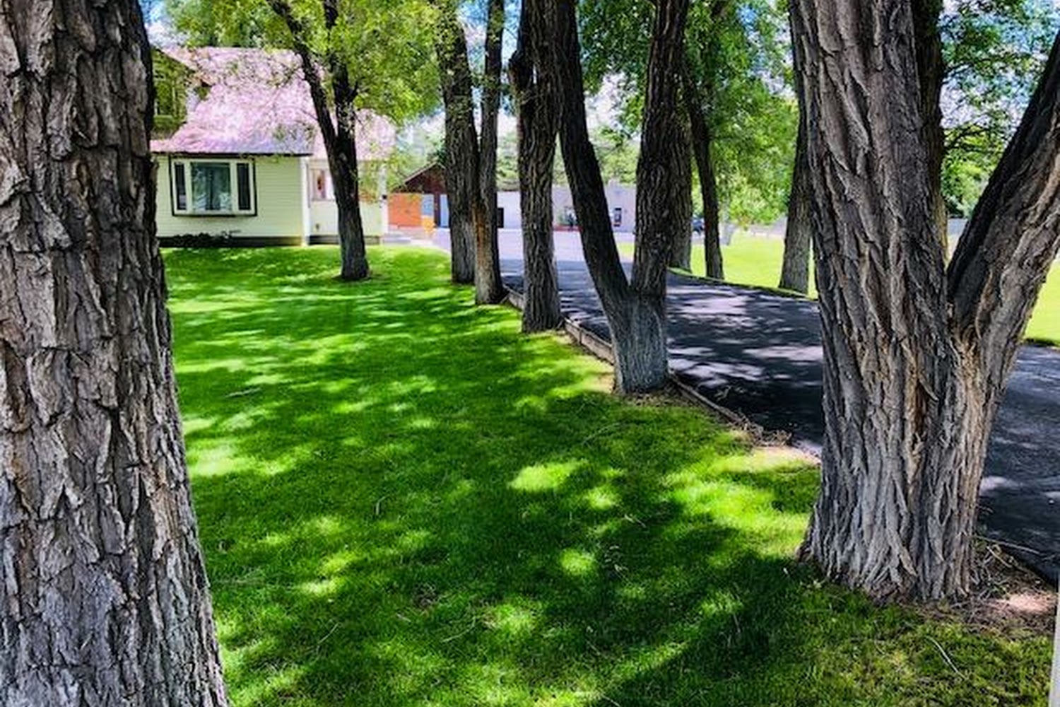 Northgate Veterinary Hospital