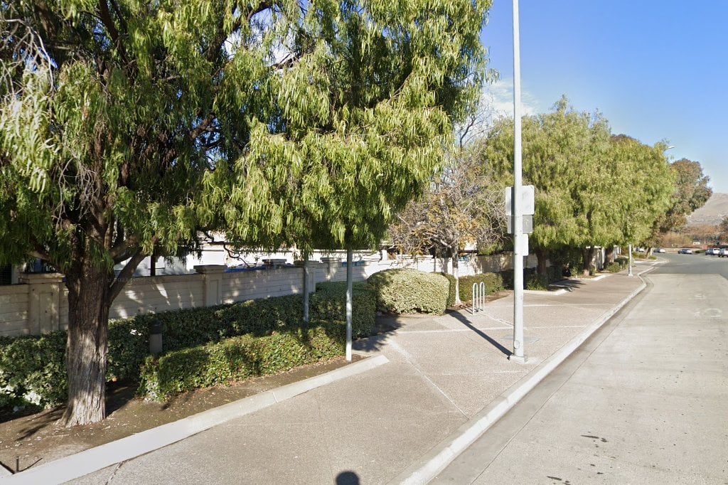 Nor Cal Boxer Rescue