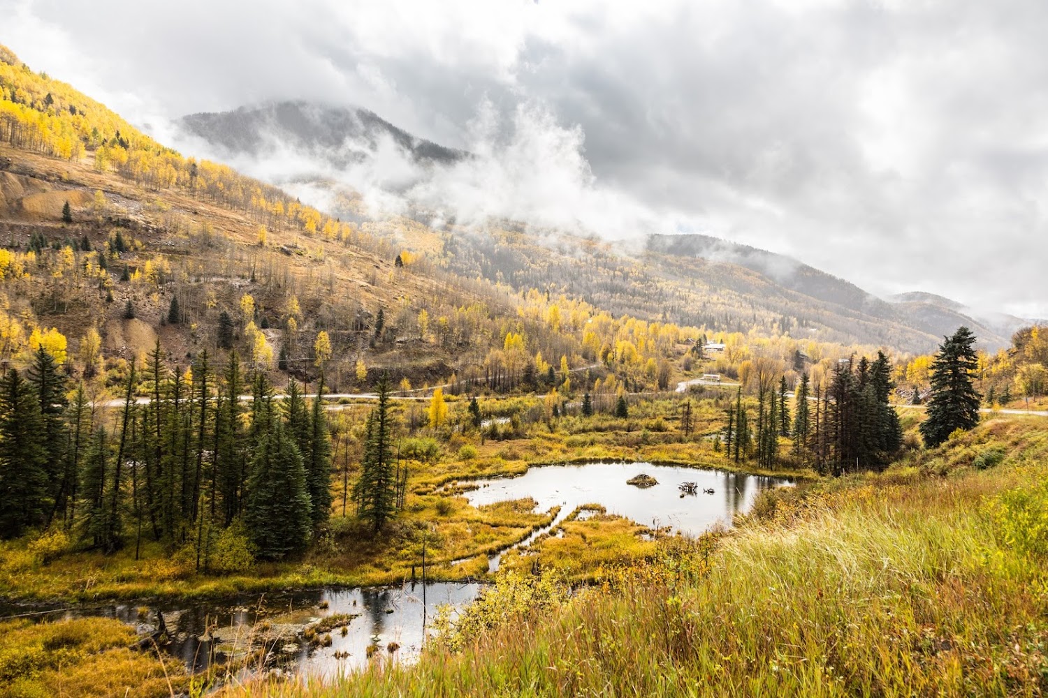 Dolores Animal Hospital