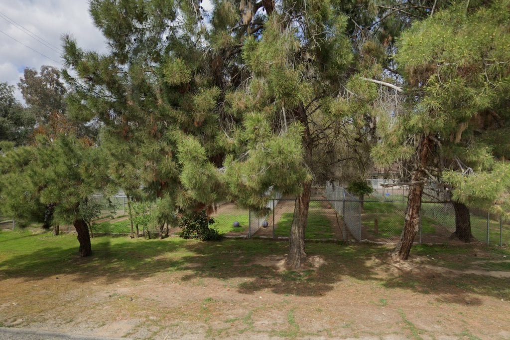 Not So Perrrfect Angels