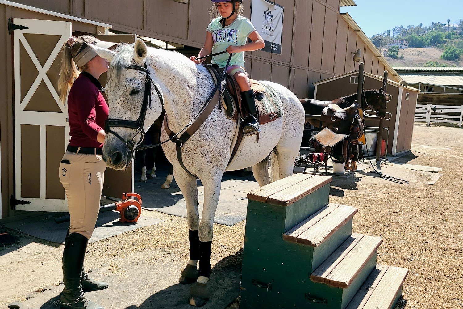 Mission Equine Hospital