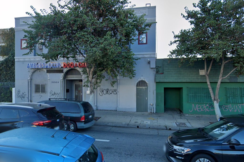 Ambassador Dog & Cat Hospital