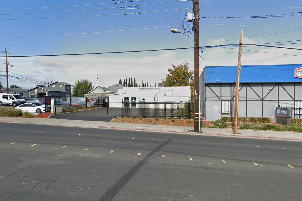 Abbey Veterinary Hospital