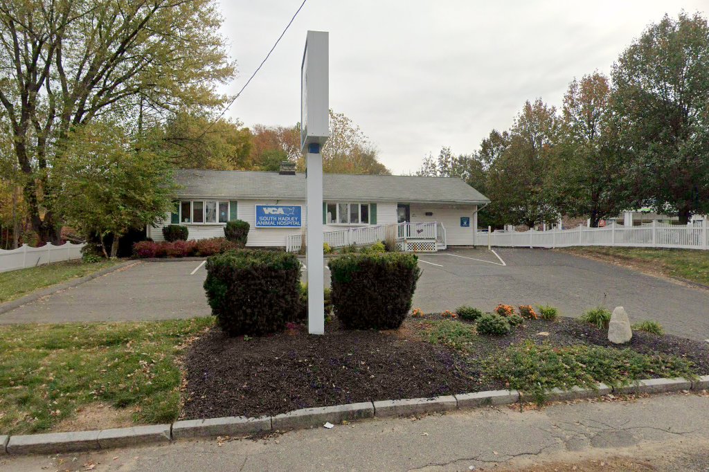 Boston Road Animal Hospital