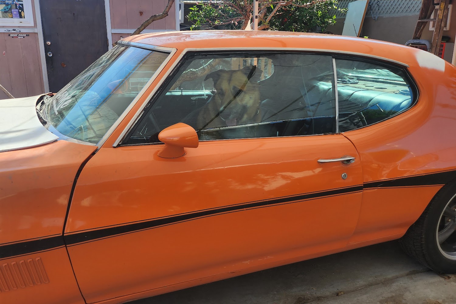 After Hours Animal Hospital