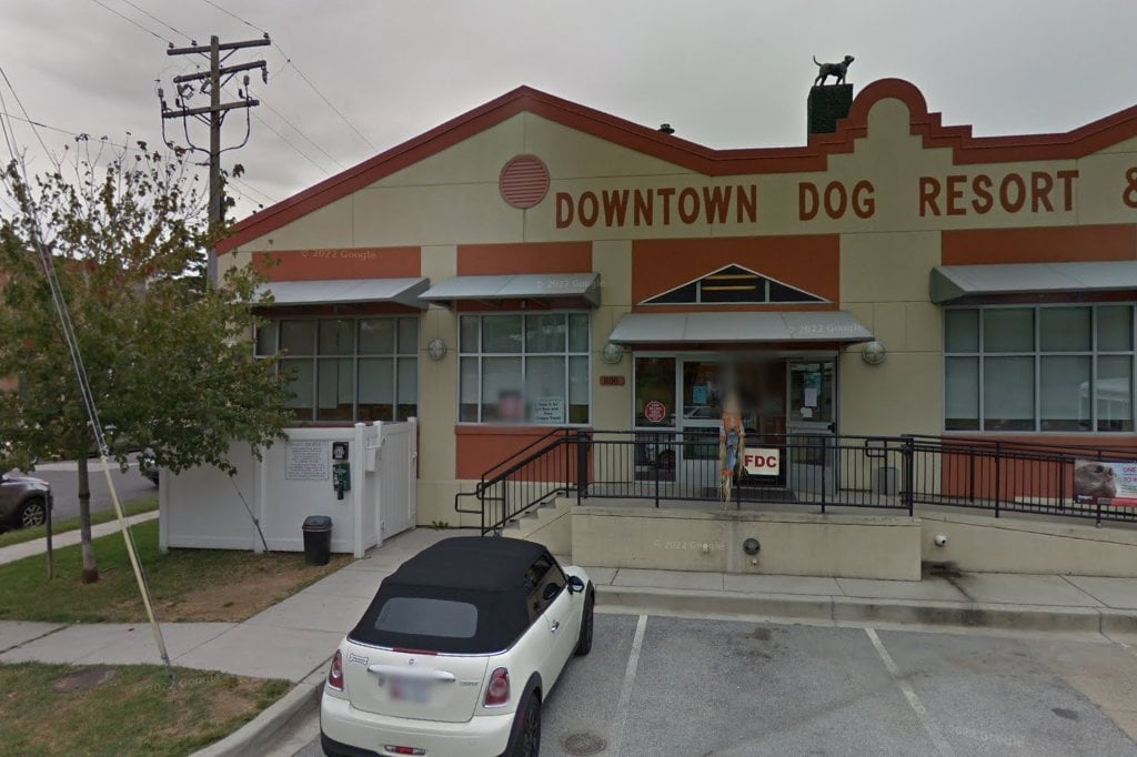 Swan Harbor Animal Hospital