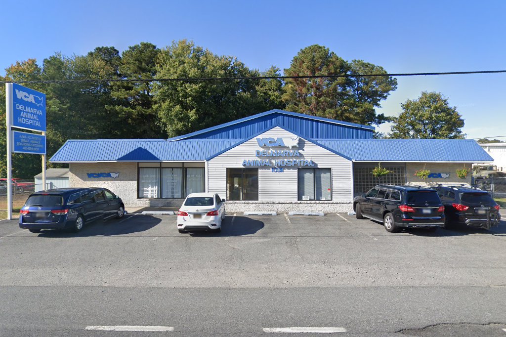 VCA Delmarva Animal Hospital