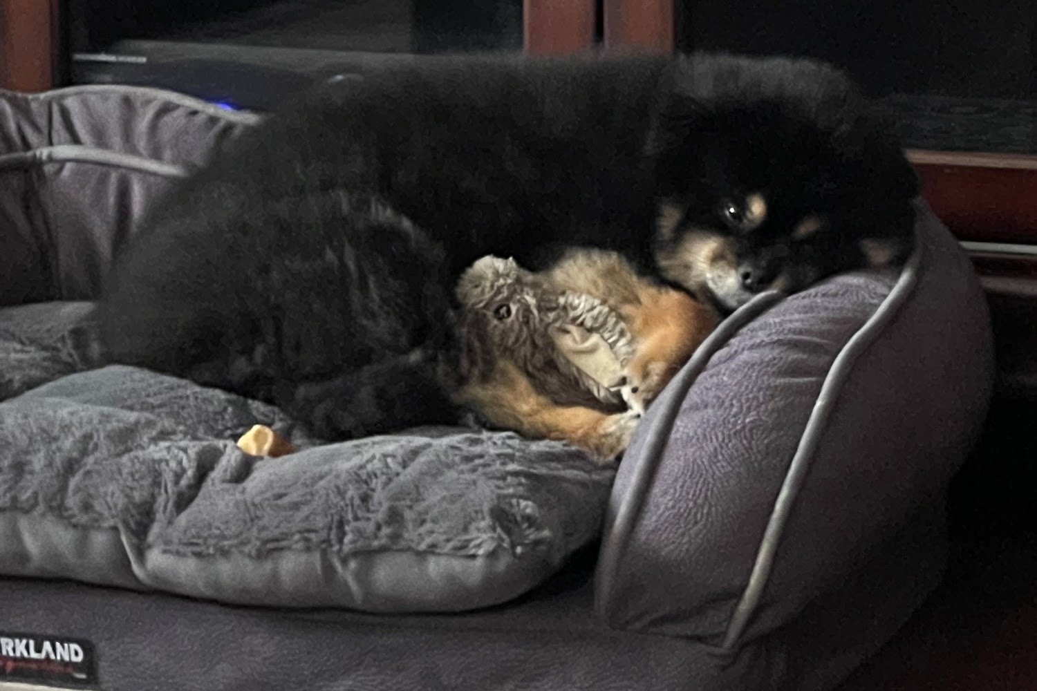 Animal Hospital At Southgate