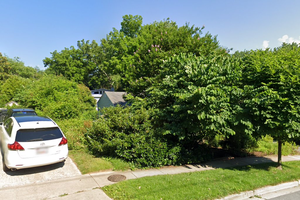 Maryland Horse Rescue