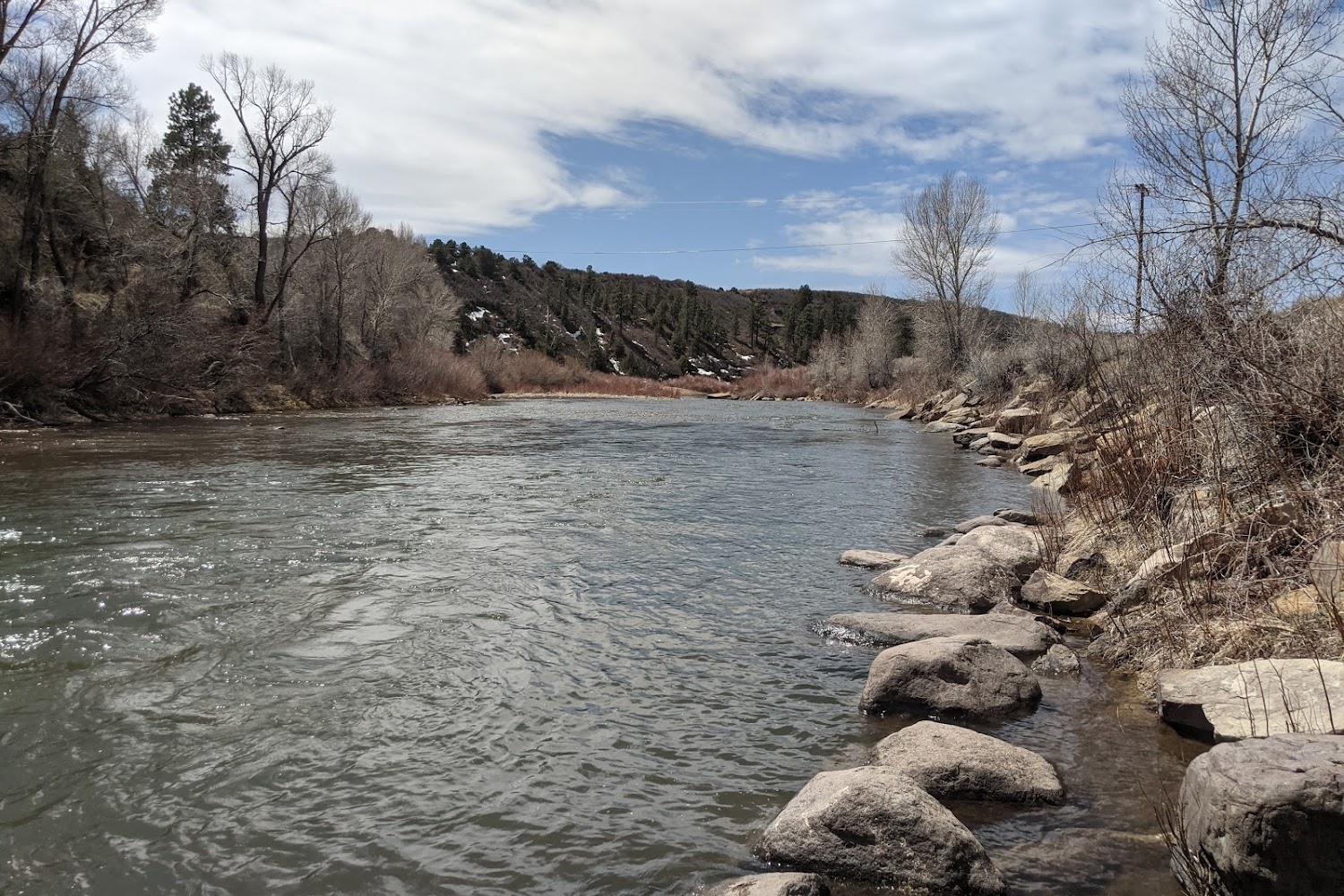 Dolores Pet Hospital