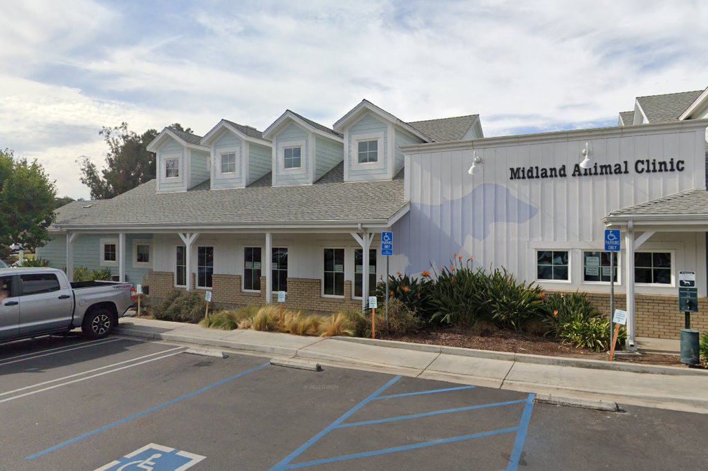 Midland Animal Clinic