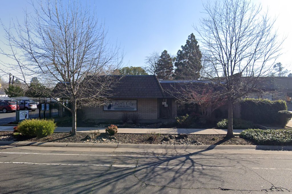 River City Cat Clinic