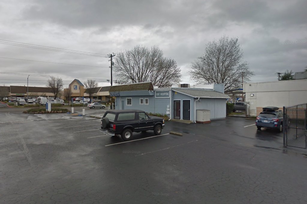 Sacramento Cat Hospital