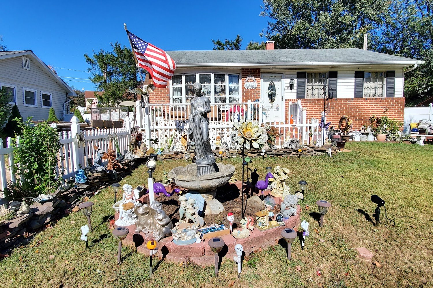 Cold Nose Warm Heart Chihuahua Rescue