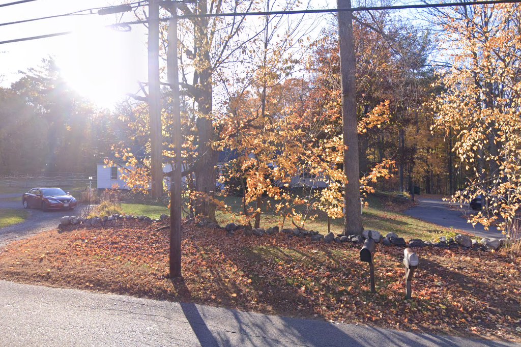 Shirley Animal Clinic