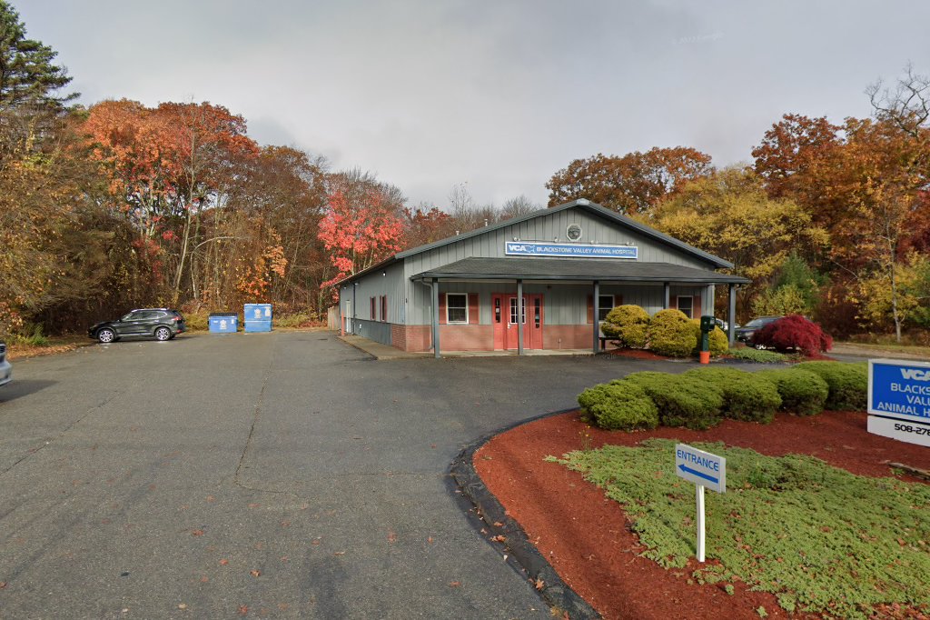 Blackstone Valley Veterinary