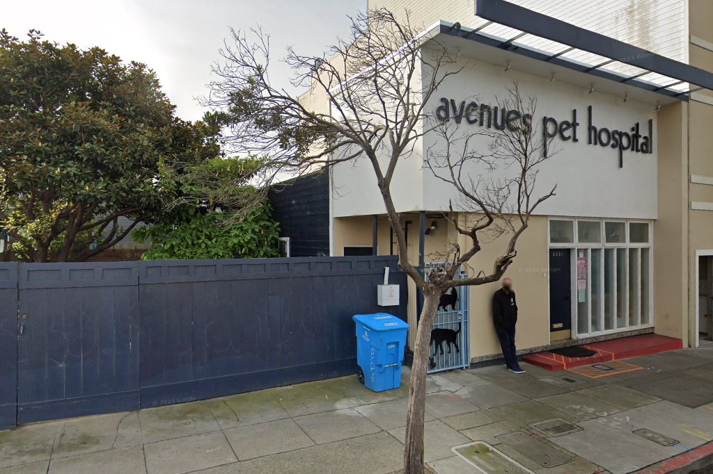 Avenues Pet Hospital