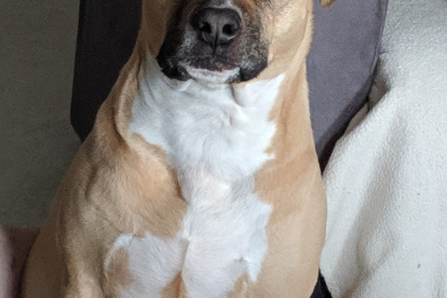 Route 140 Veterinary Hospital