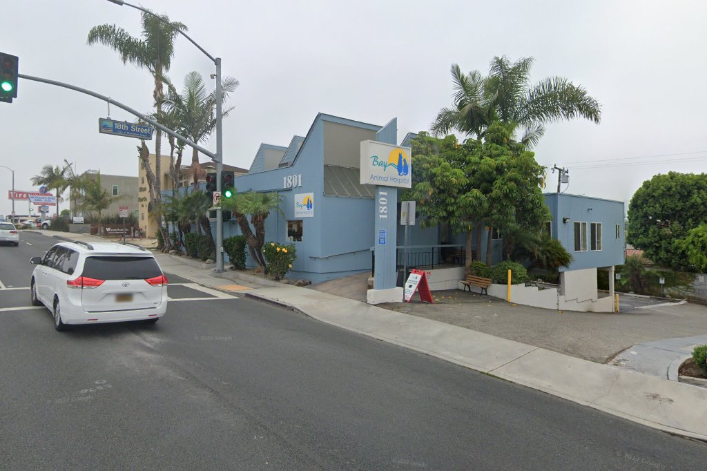 Bay Animal Hospital