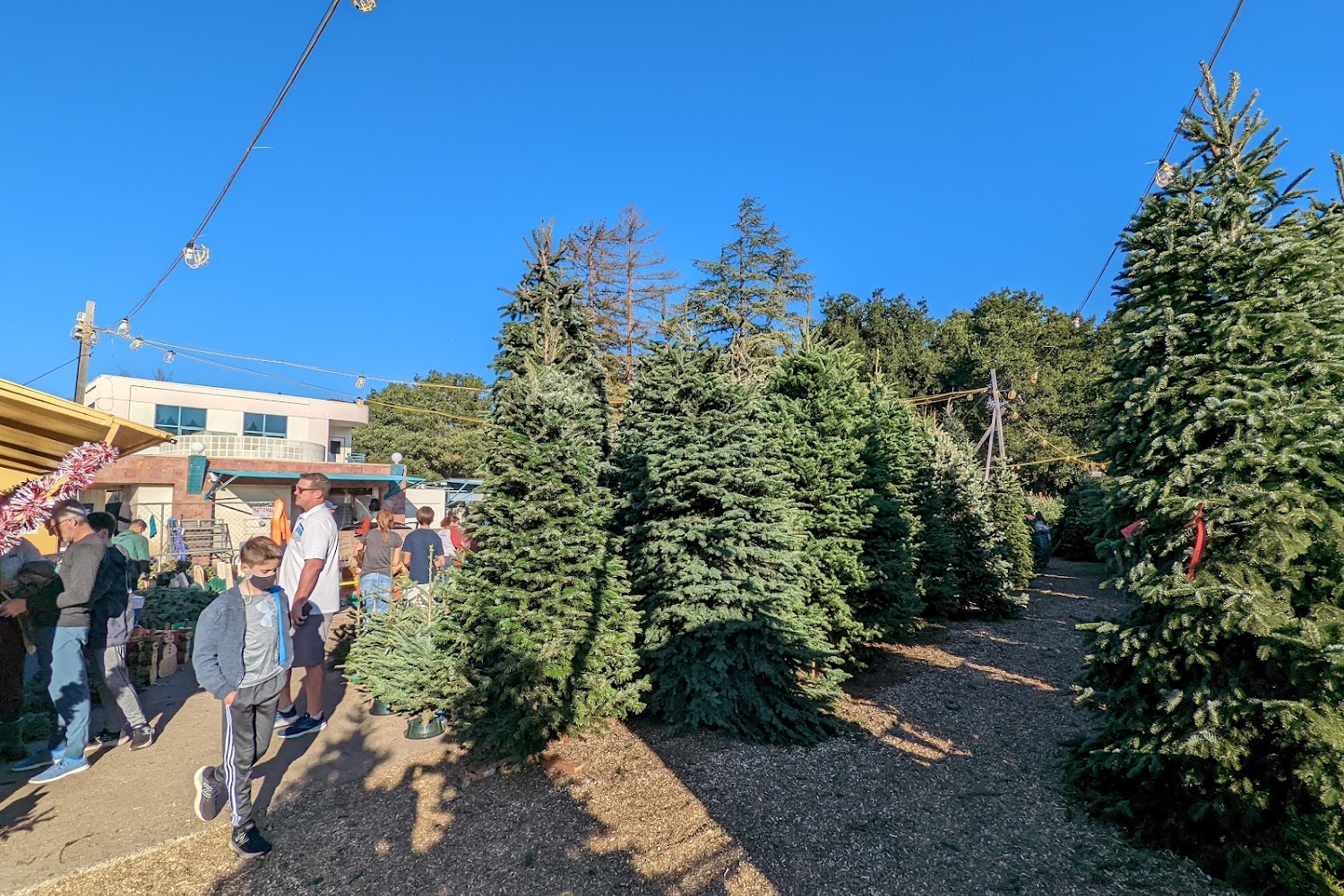 Alta-Wood Animal Hospital