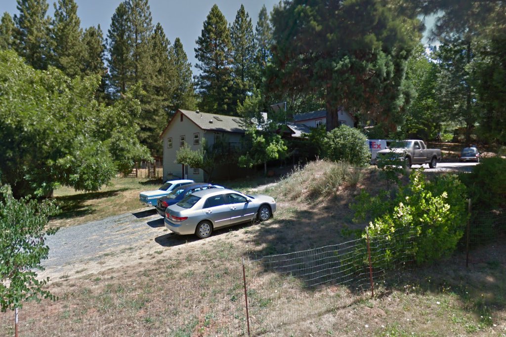 Black Oak Animal Hospital