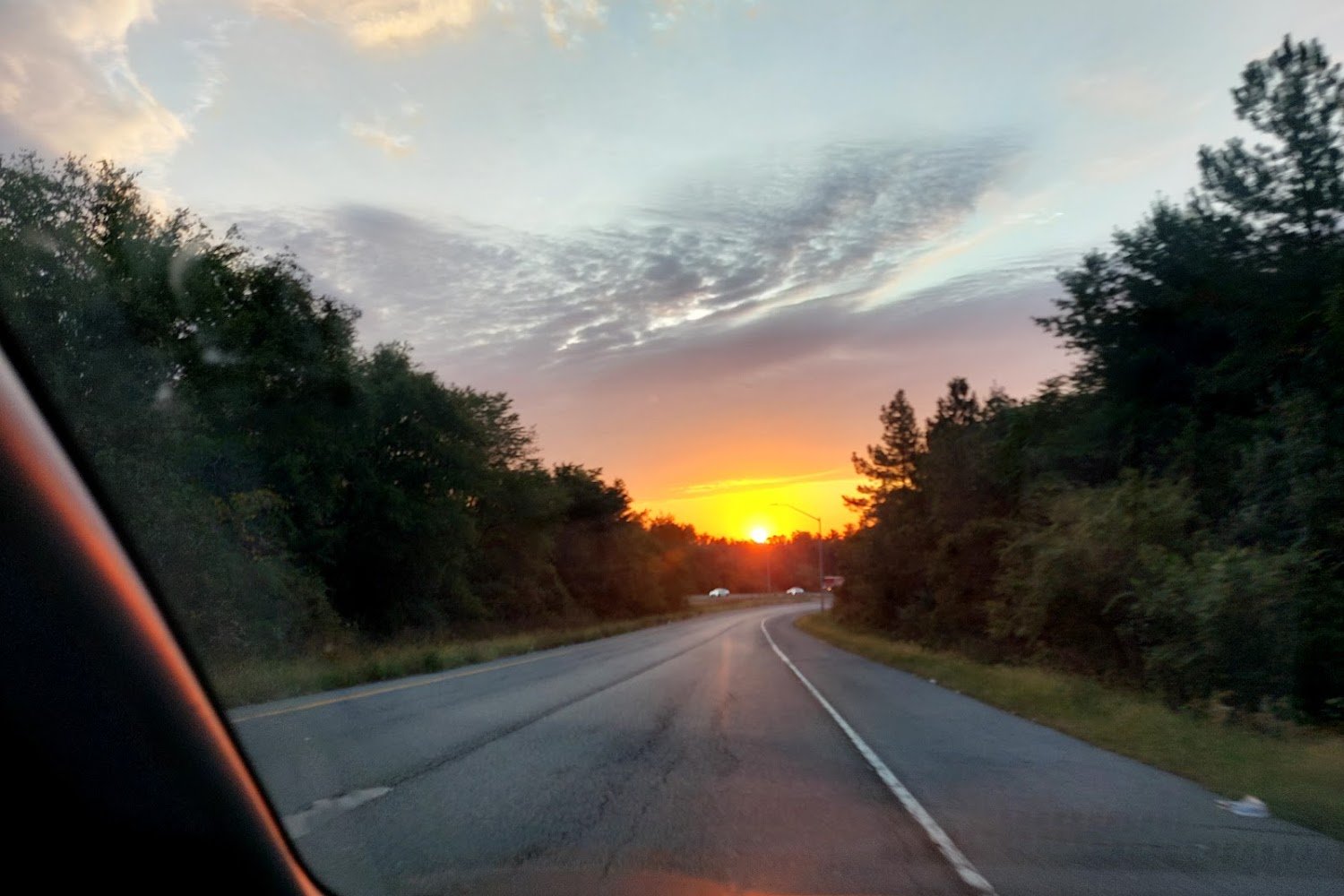 Cocker Spaniel Adoption Center, Inc.