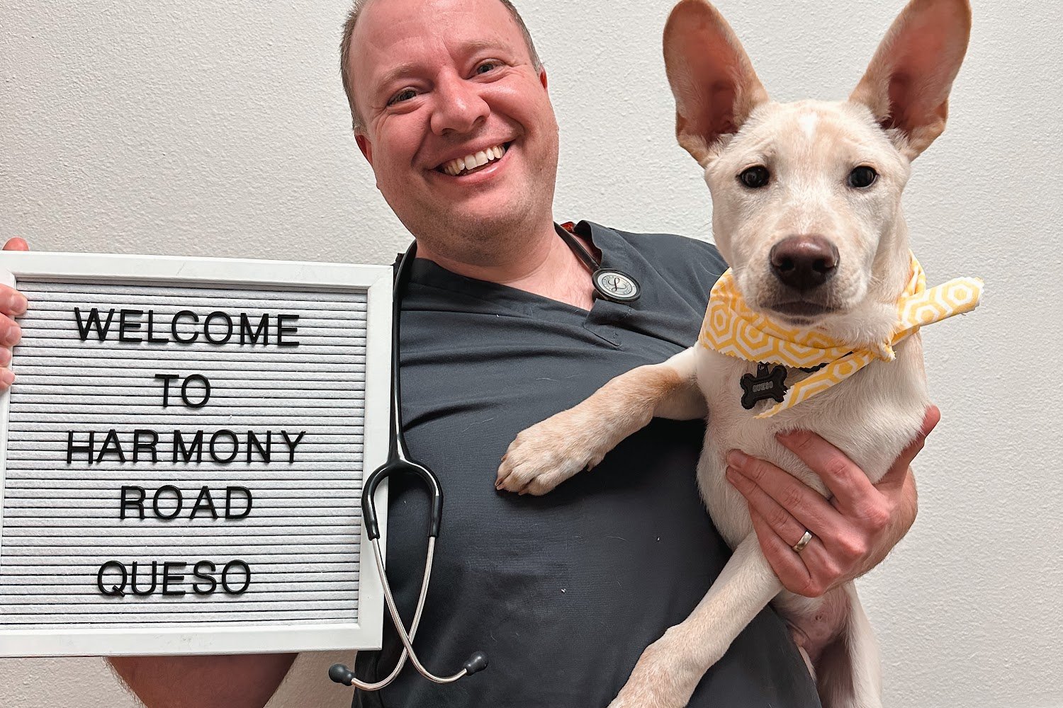 Harmony Hospital for Pets