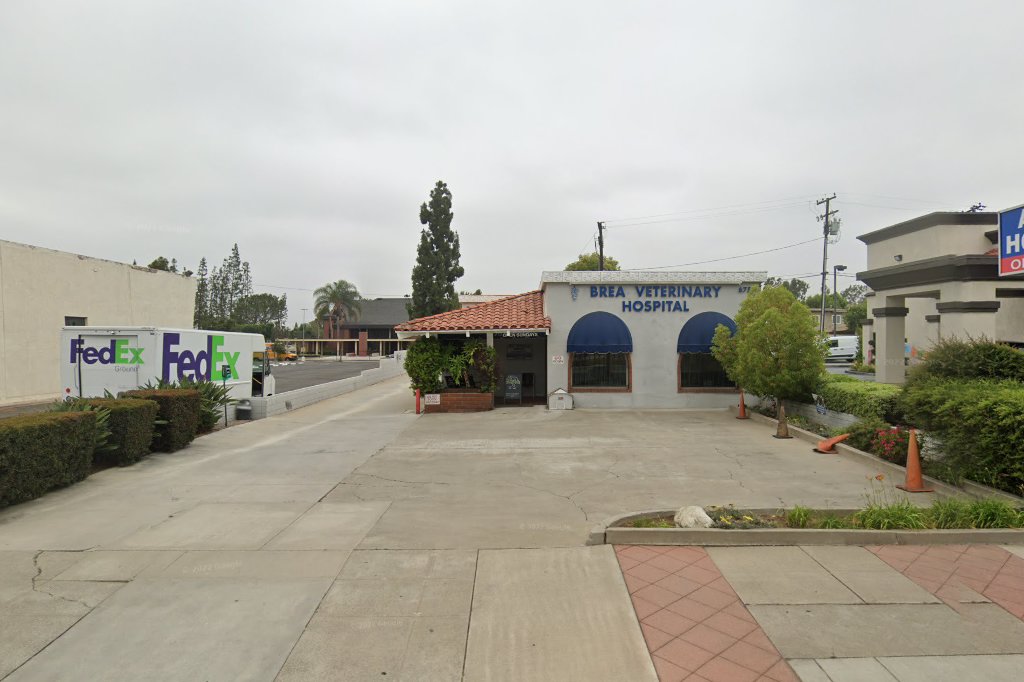 Brea Veterinary Hospital