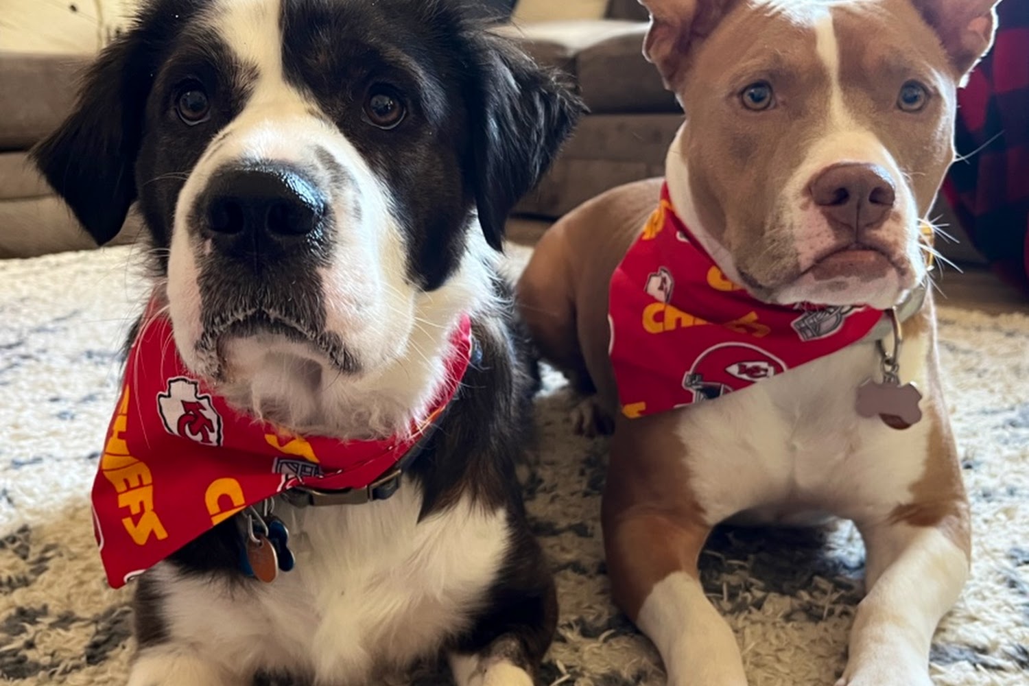 Worthington Animal Clinic