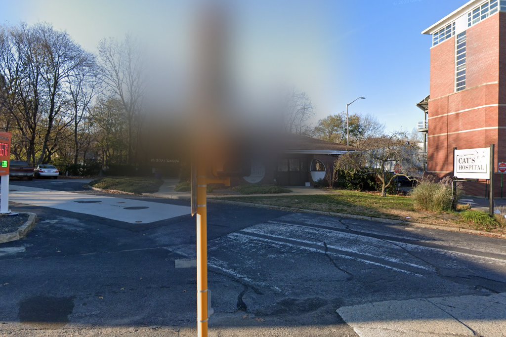 The Cat's Hospital, LLC