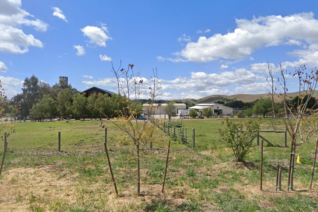 Ausaymas Veterinary Service