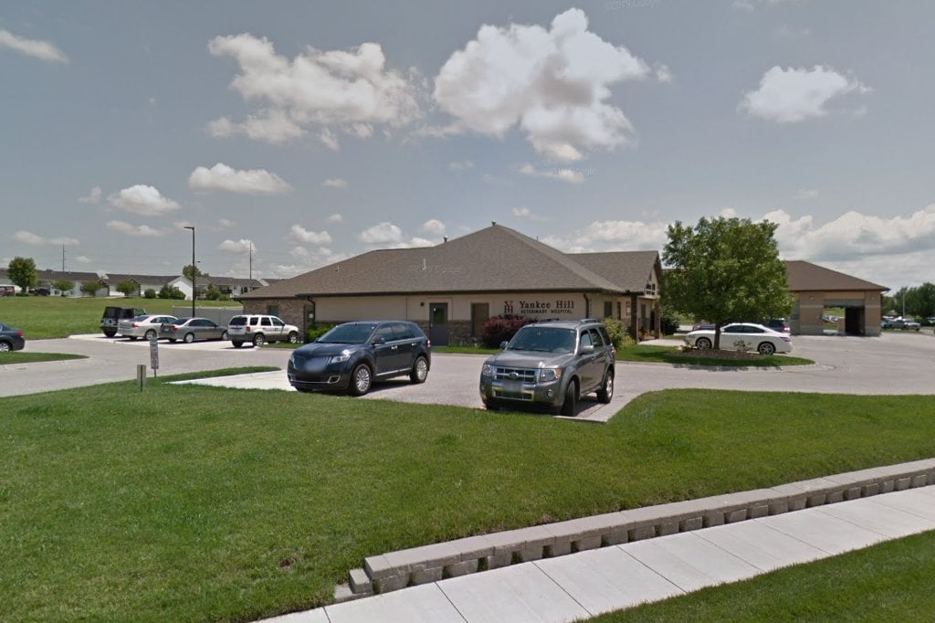 Yankee Hill Veterinary Hospital