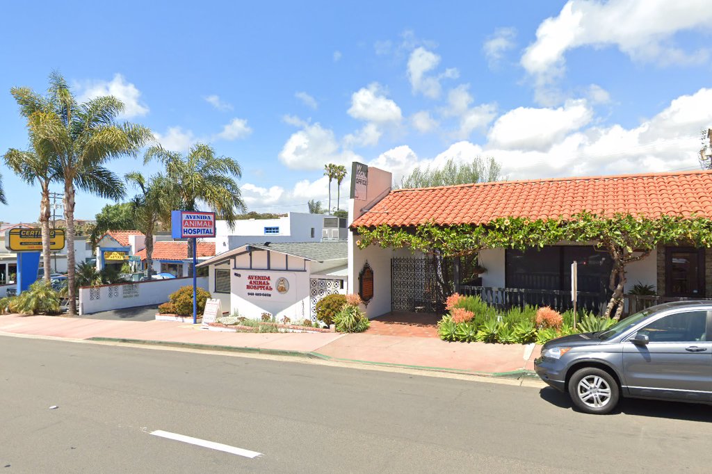 Avenida Animal Hospital