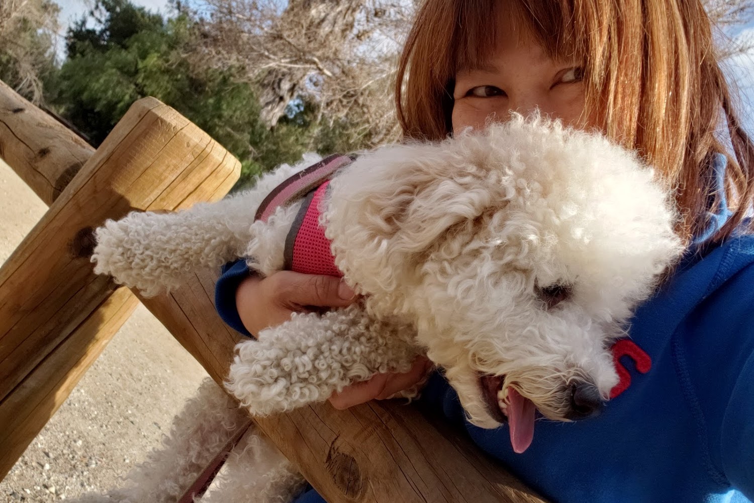 Blue Cross Animal Hospital