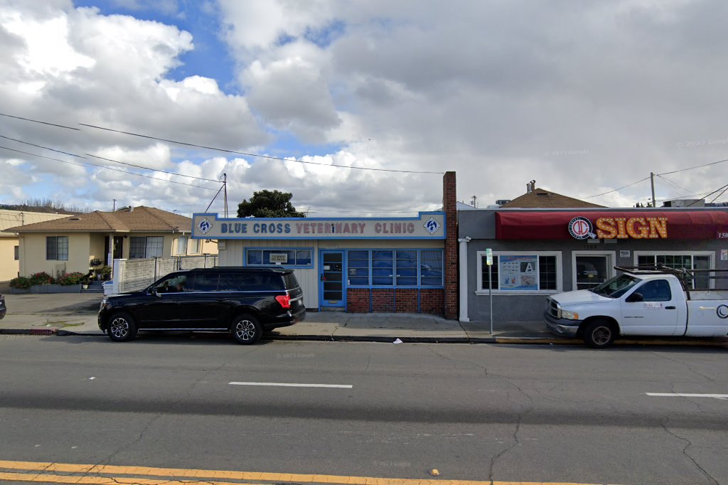 Blue Cross Veterinary Clinic