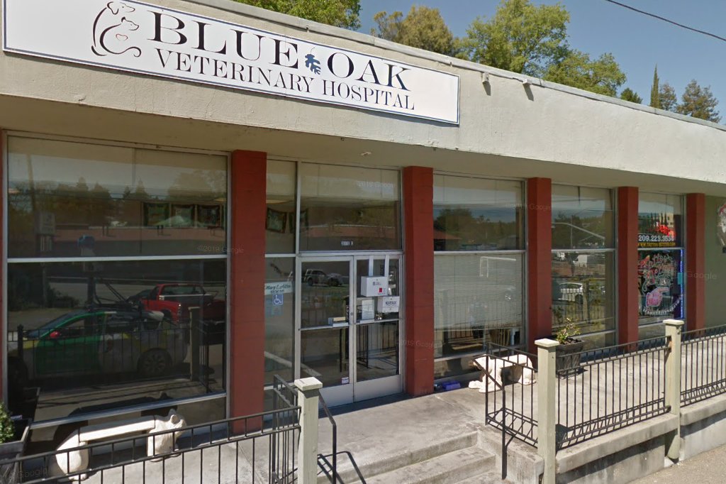 Blue Oak Veterinary Hospital