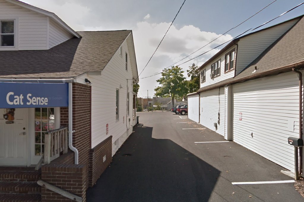 Cat Sense Feline Hospital & Boarding