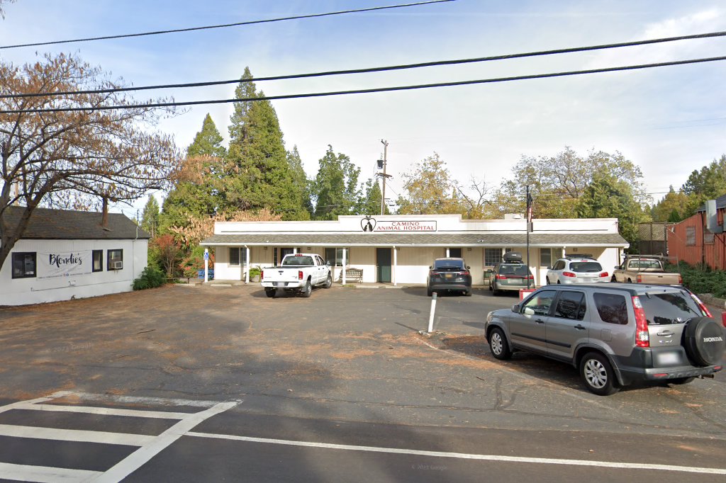 Camino Animal Hospital