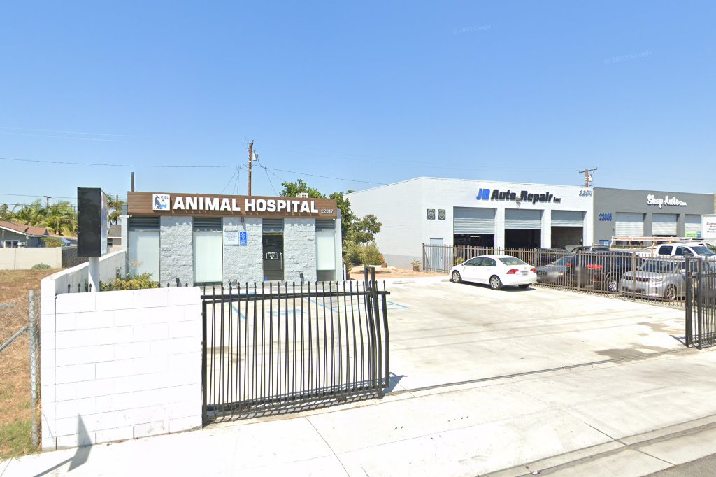 Caputi Animal Hospital