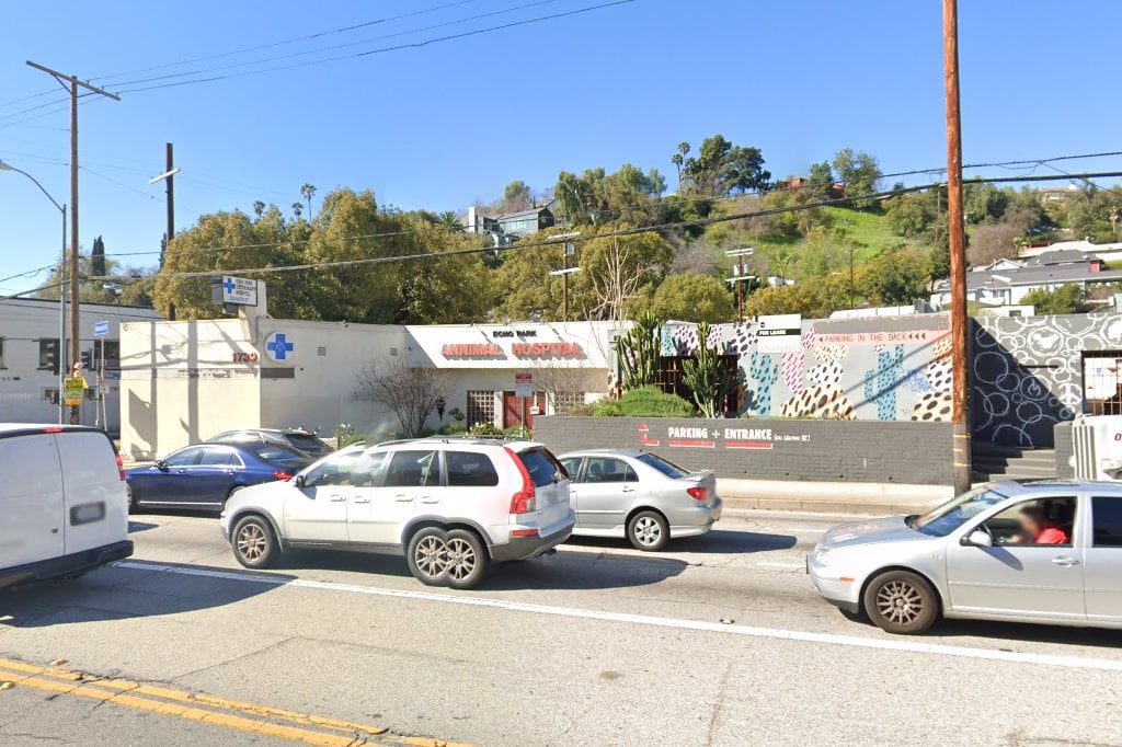 Echo Park Animal Hospital