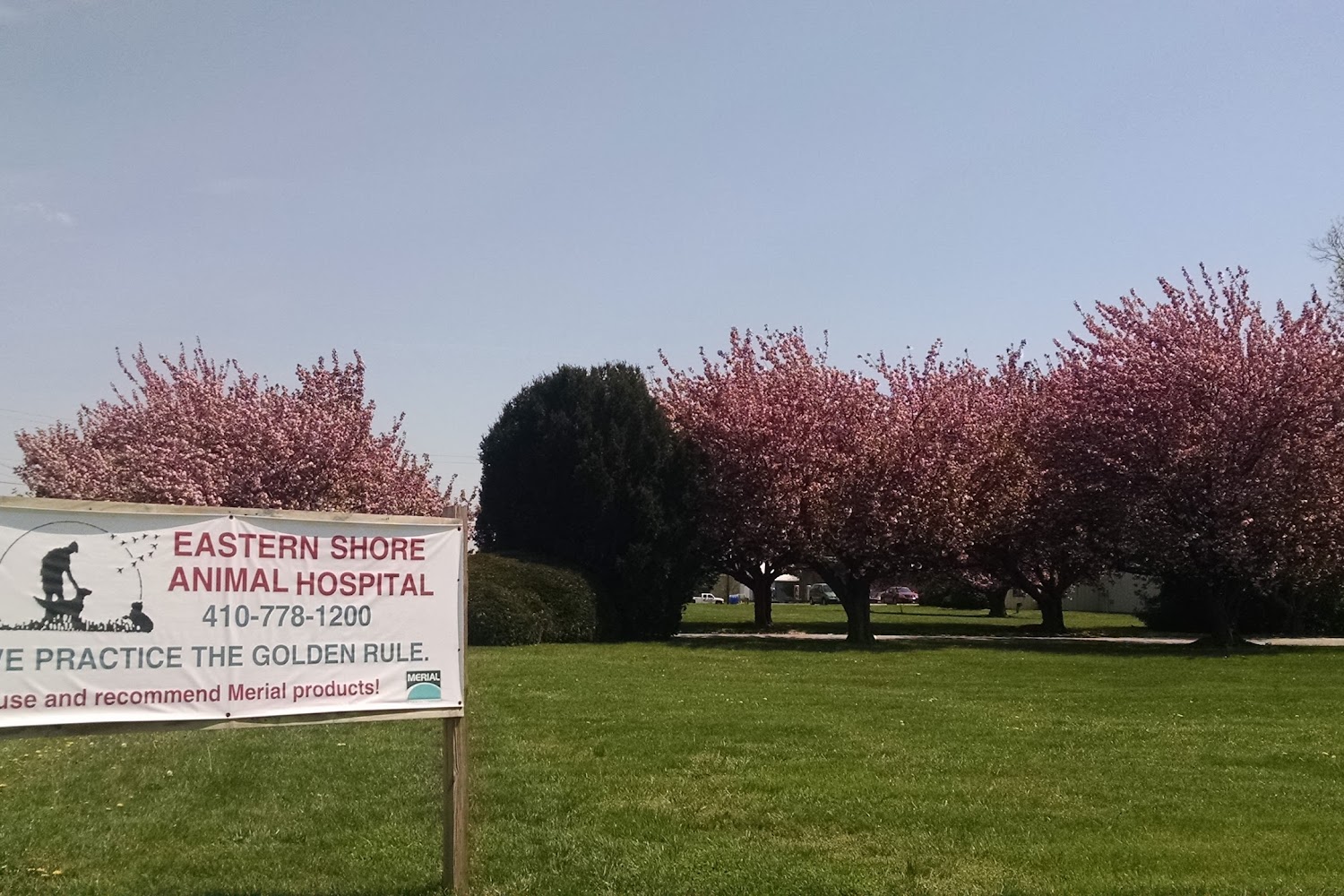 Eastern Shore Animal Hospital