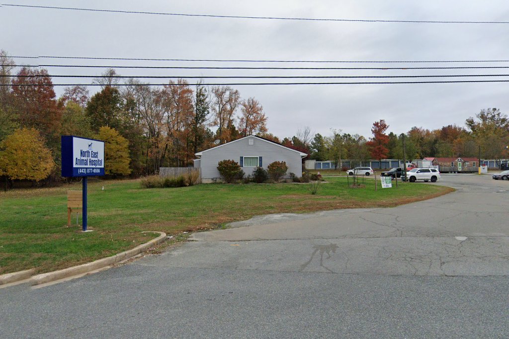 North East Animal Hospital