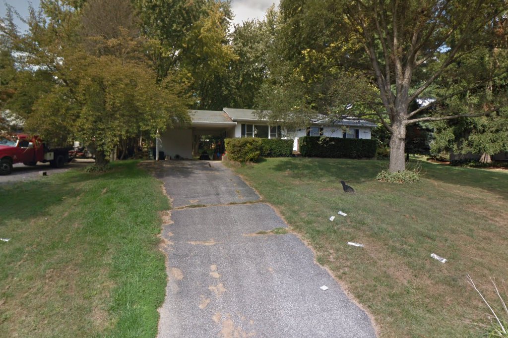 Catwoman Rescue and Adoption