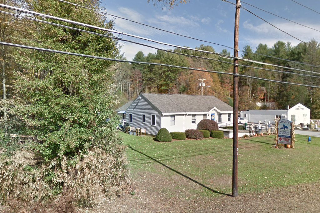 Adams Animal Hospital