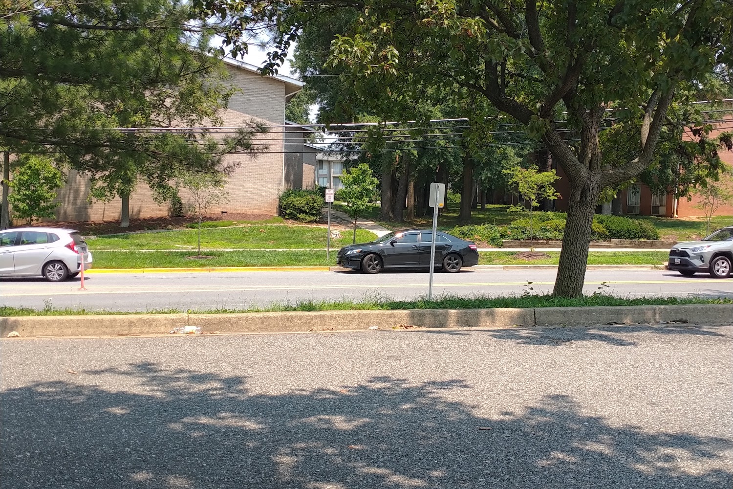 Partnership for Animal Welfare