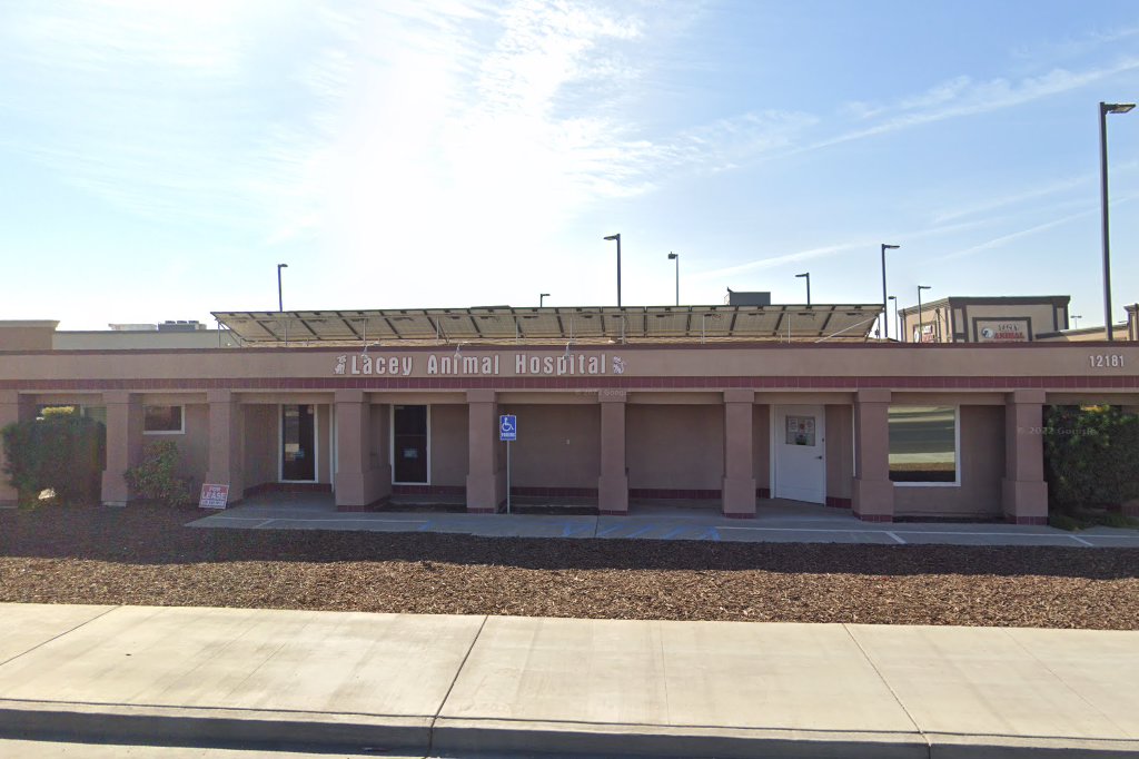 Lacey Animal Hospital