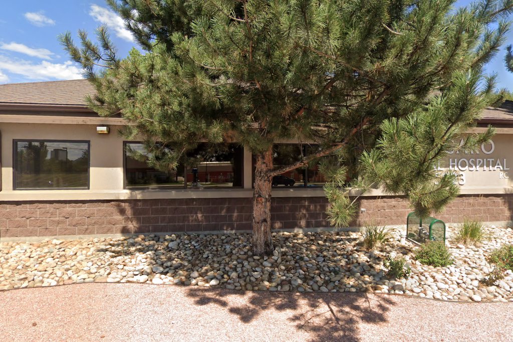 Belcaro Animal Hospital