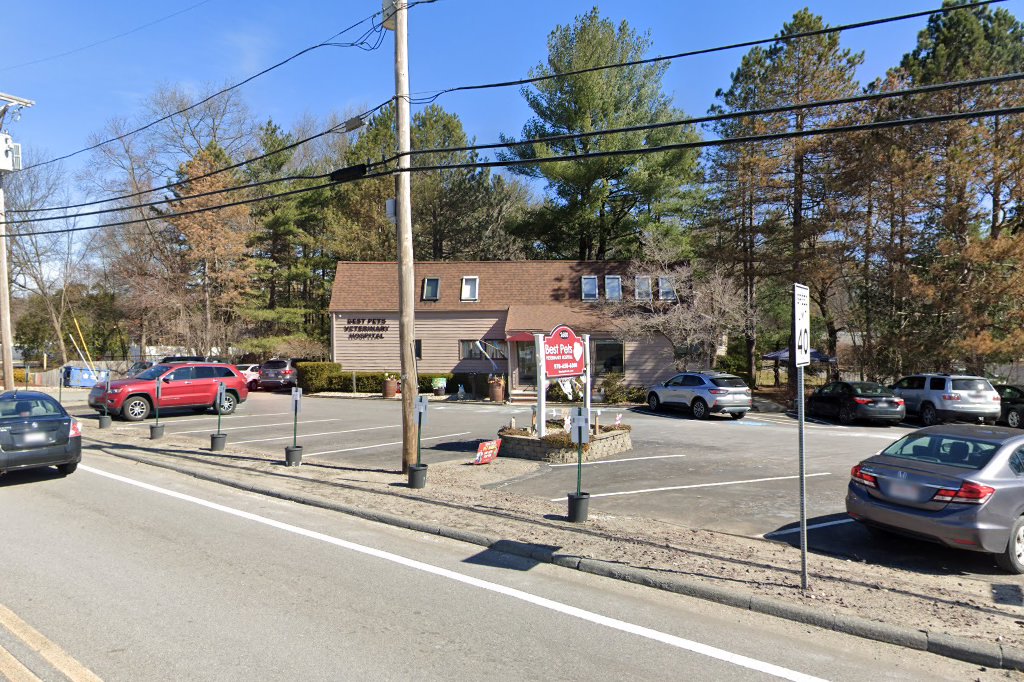 Best Pets Veterinary Hospital